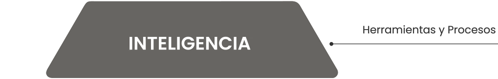 Inteligencia